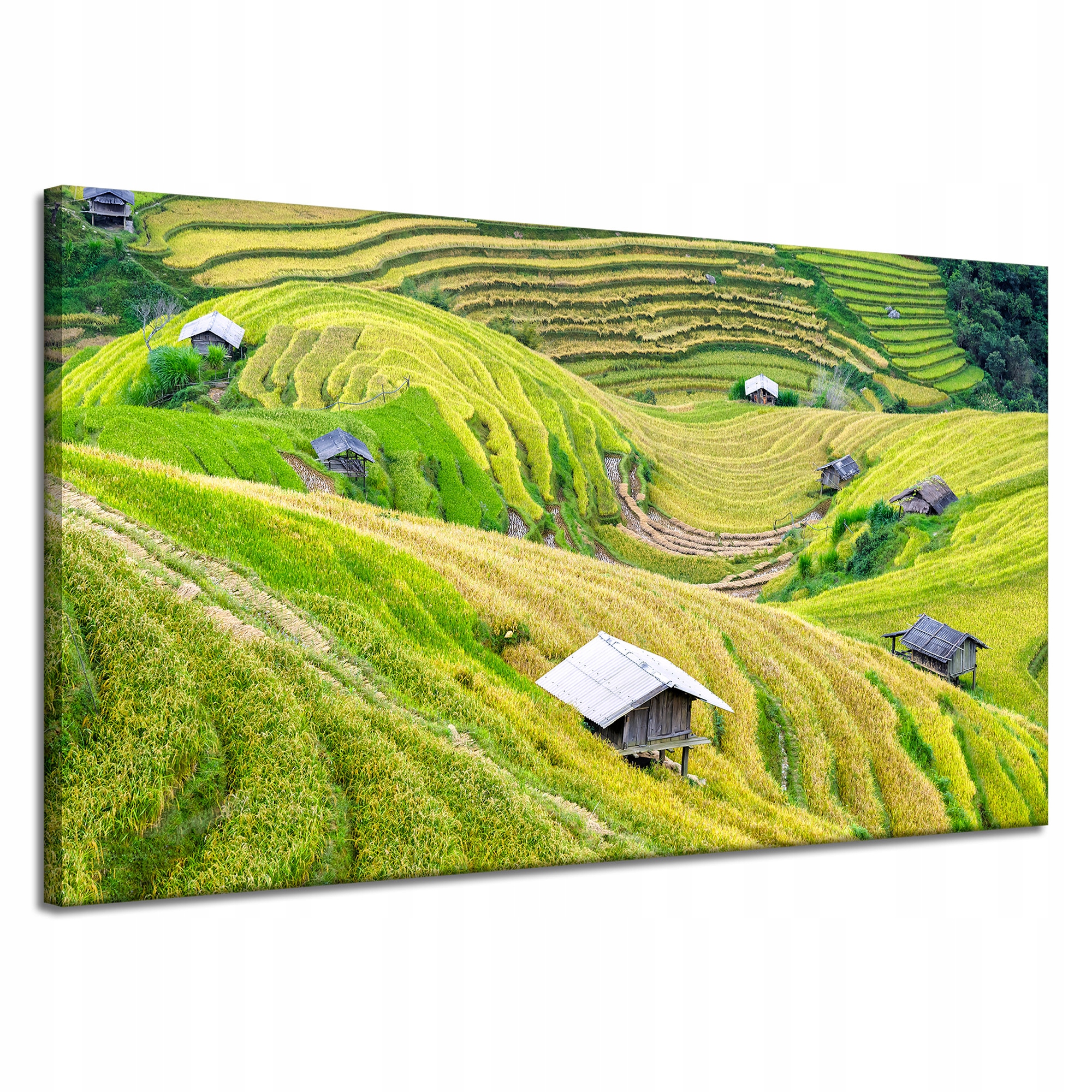 Obraz Canvas Příroda Zemědělské terasy Zeleň 120x70 cm