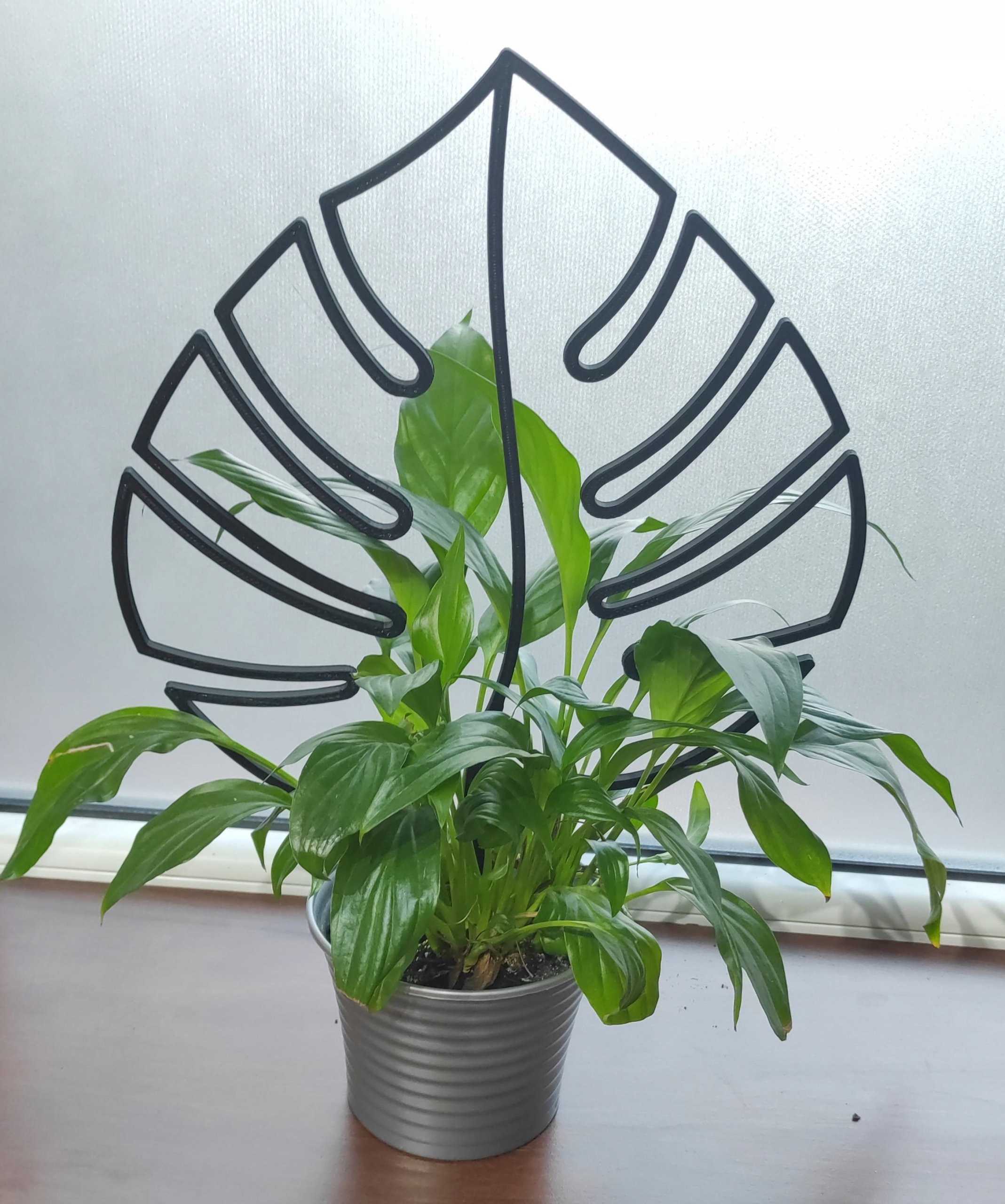 PODPÓRKA KWIATÓW ROŚLIN PERGOLA MONSTERA LIŚĆ 36cm Rodzaj drabinka