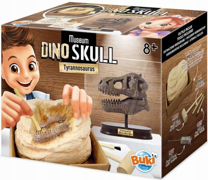 

Mały archeolog Tyranozaur czaszki dinozaura Buki