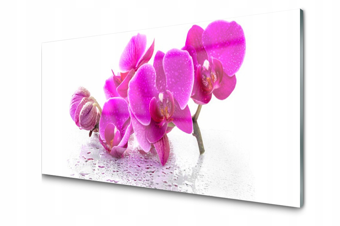 

Panel szklany Płytka Kwiaty Roślina 120x60 + Klej