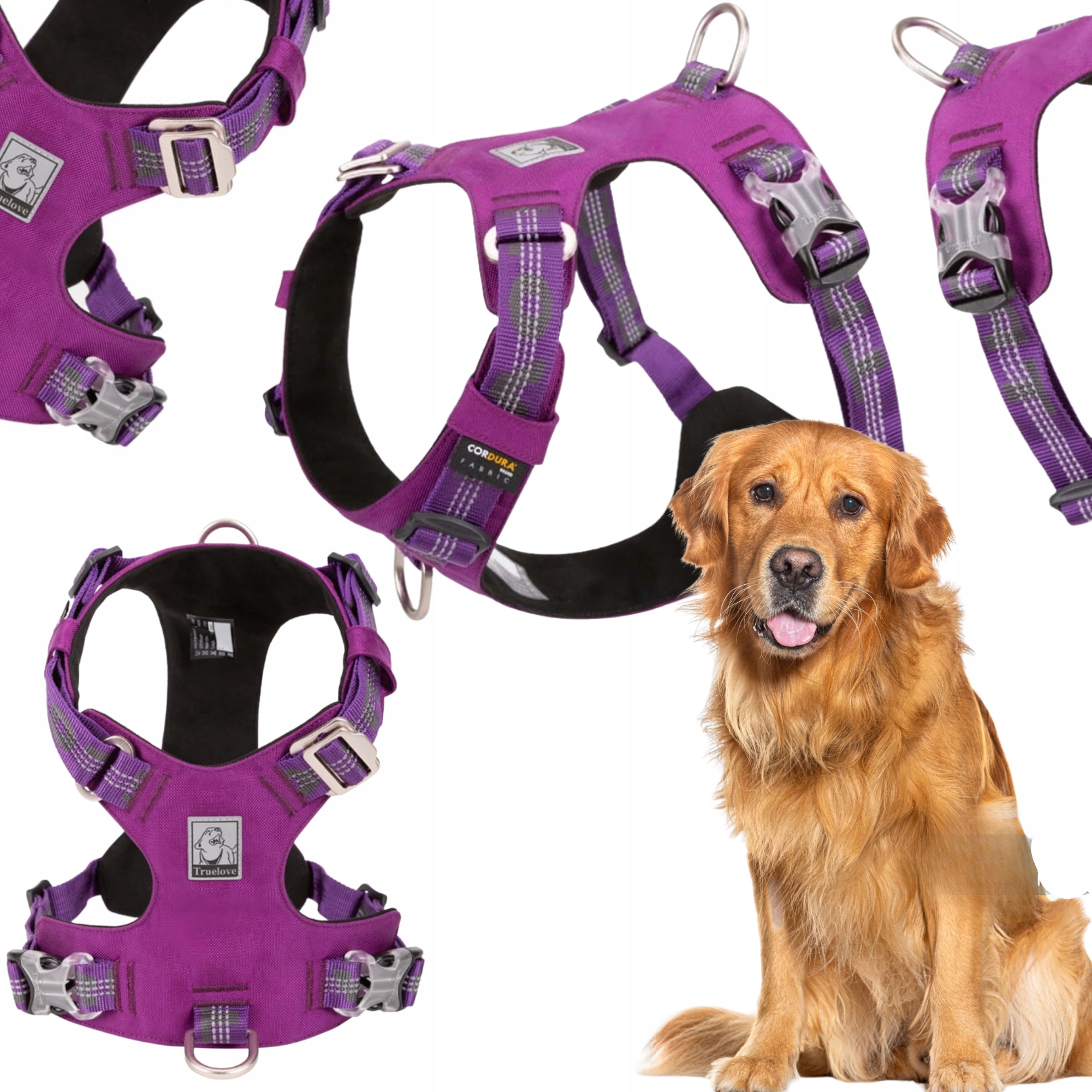 Szelki Dla Psa Wodoodporne Lekkie Truelove Adventure Dog Fioletowe XL