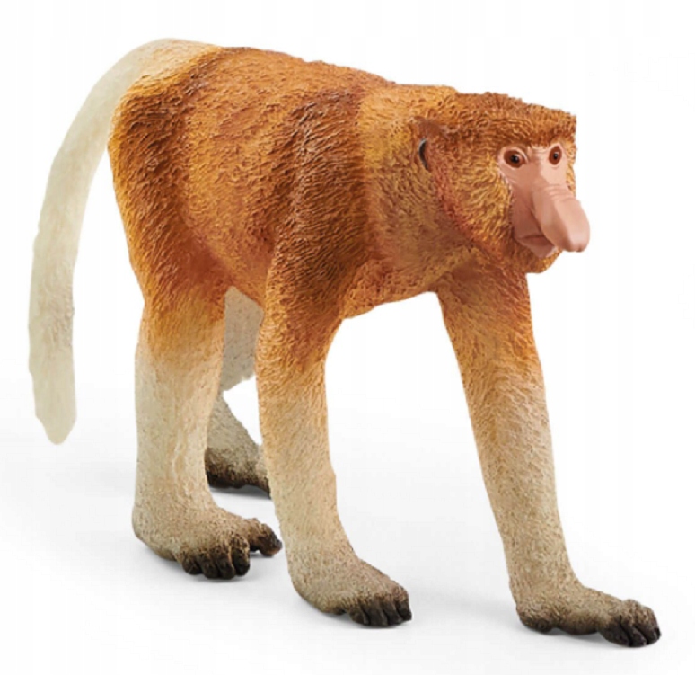

Schleich 14846 Nosacz Wild Life