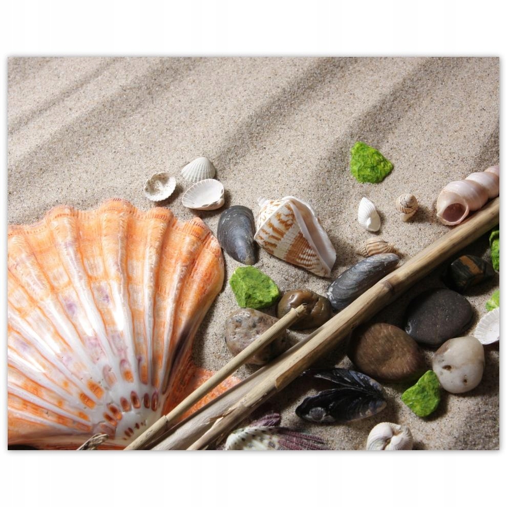 

Plakat 50x40 Na bałtyckiej plaży