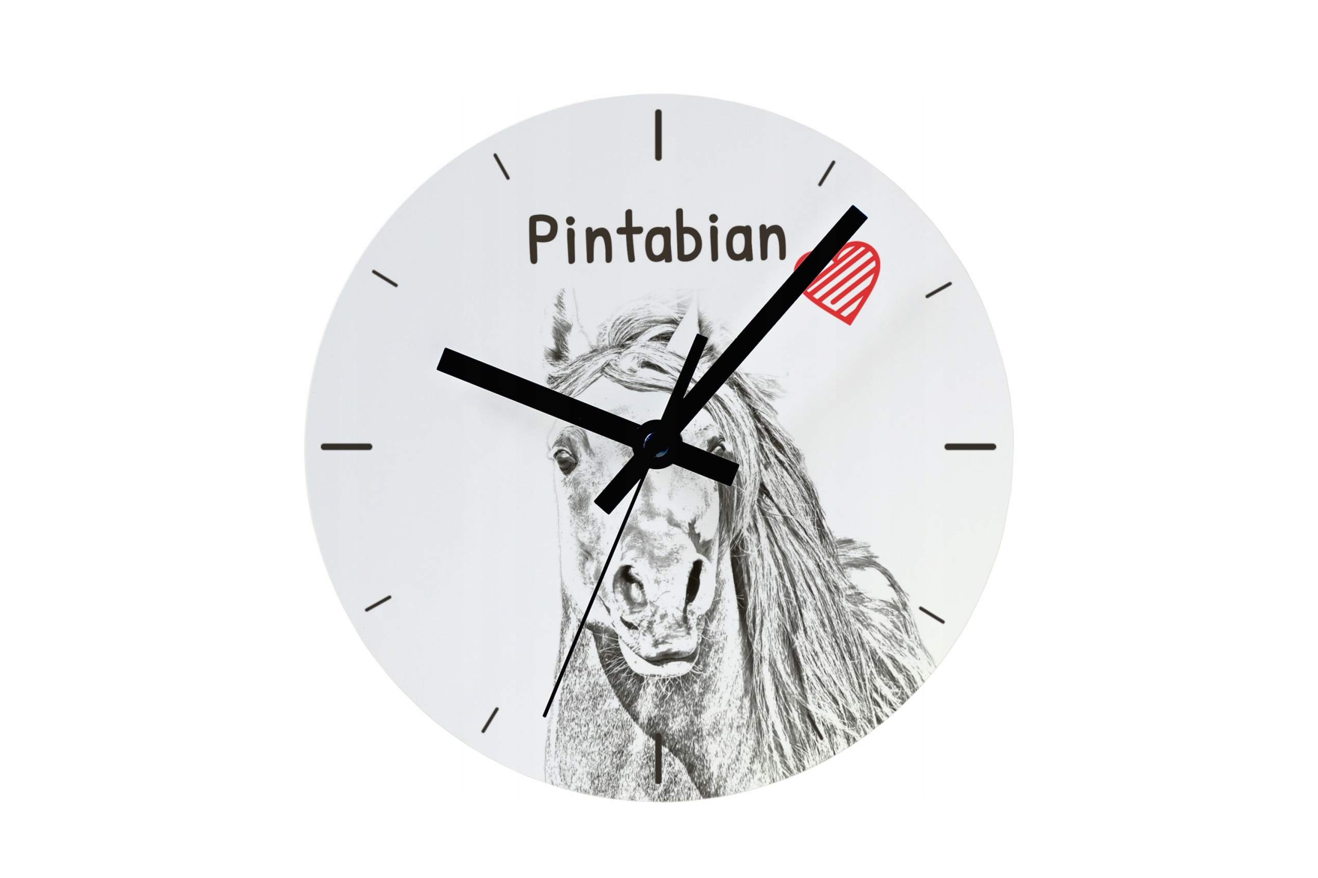 Pintabianský kůň s závěsným a stojícím koněm, personalizace fotografií