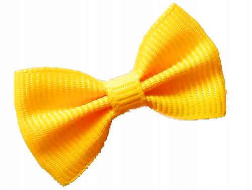 

Kokardki Na Gumkach Nr 2 york shih tzu