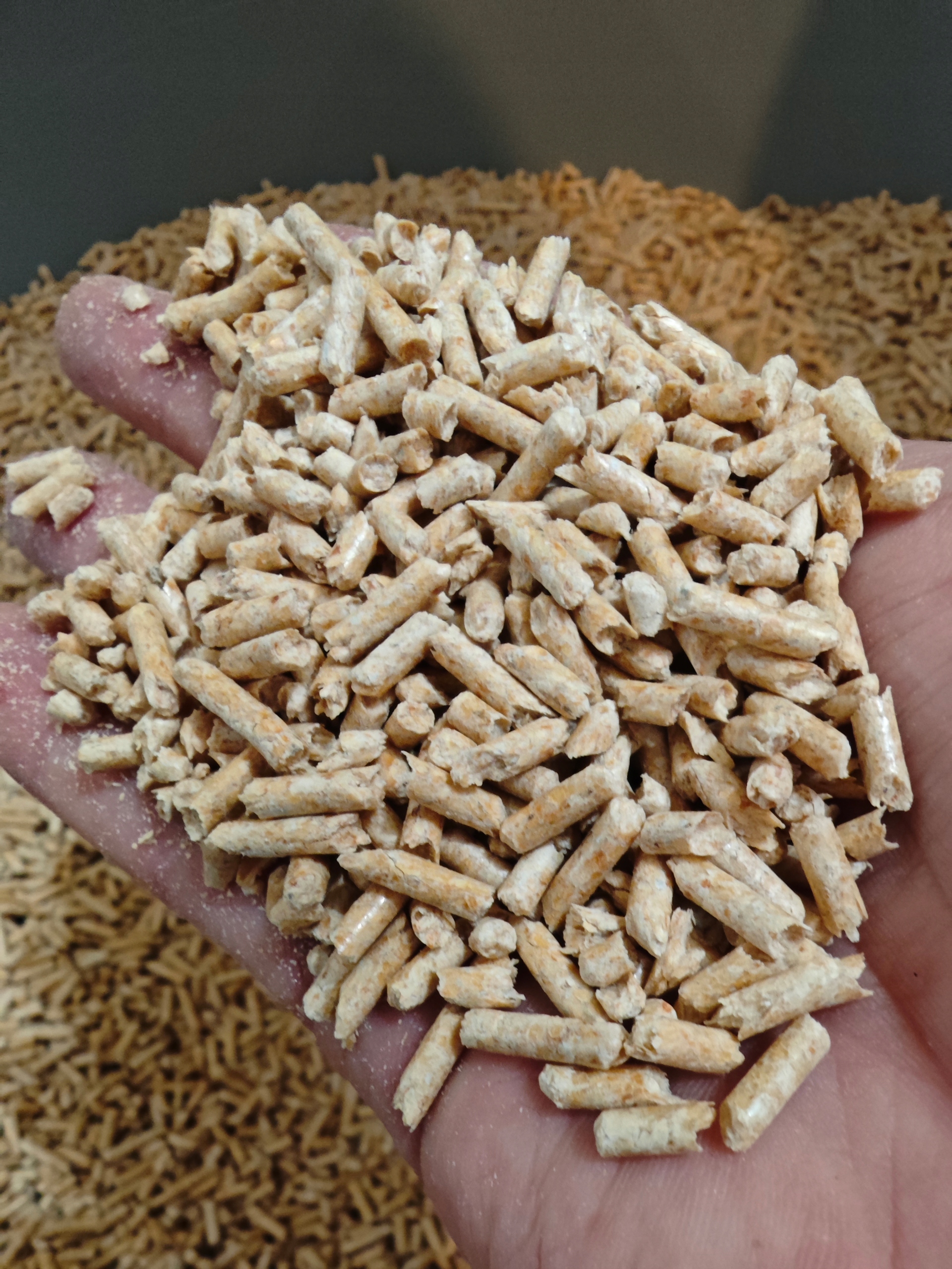 Żwirek Zbrylający Dla Kota Peletka 3MM Golden Line 20 L. Antybakteryjny