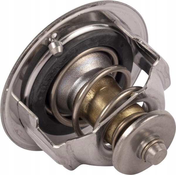 Termostat 1C01173013