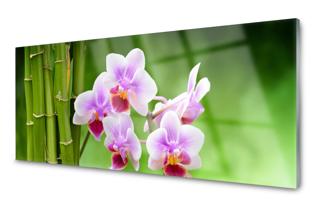 

Panel szklany do kuchni Bambus Kwiaty 125x50