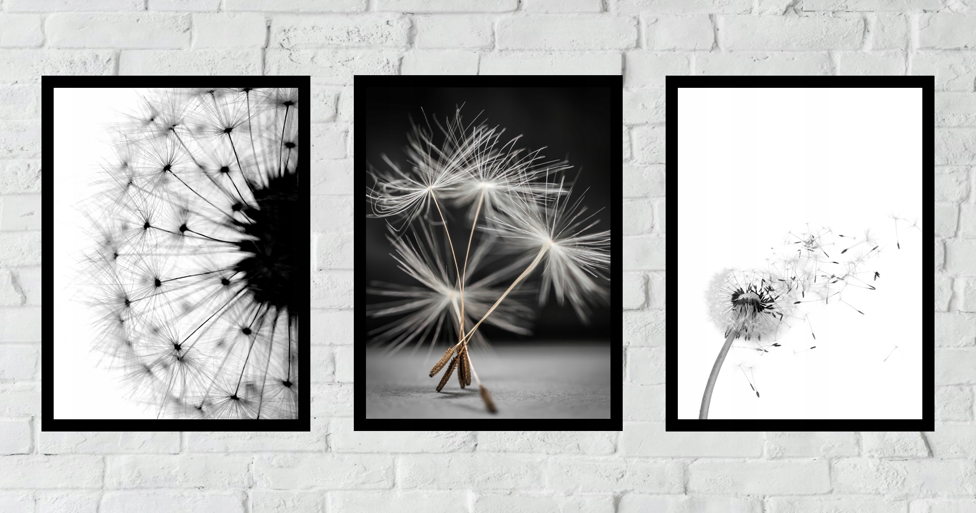 ZESTAW 50x40 RAMKA PLAKAT OBRAZ DMUCHAWCE MLECZ Wysokość produktu 50 cm