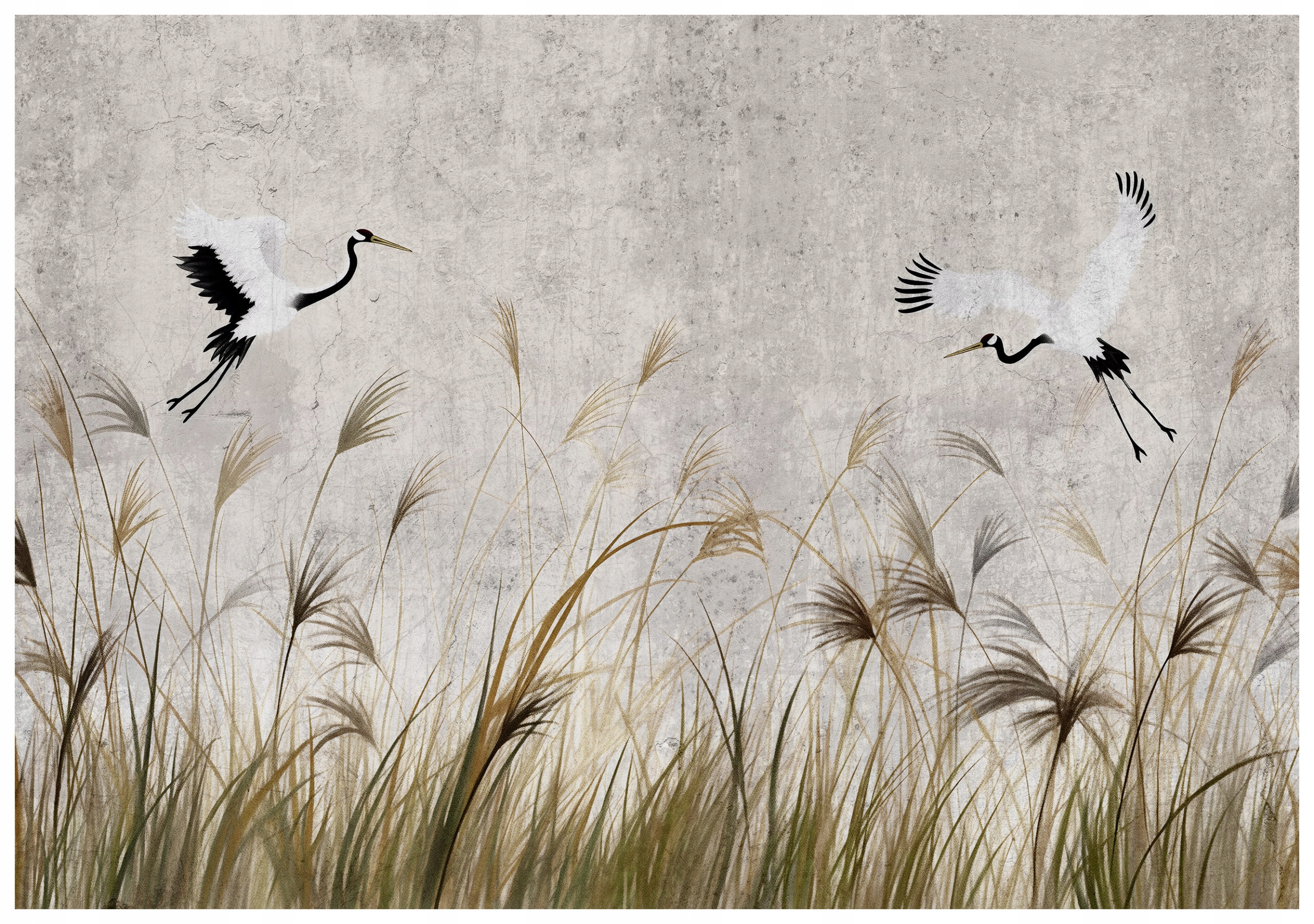 Fototapeta Jeřábi s rákosem harmonie přírody 416x254 vinylová lepidlo