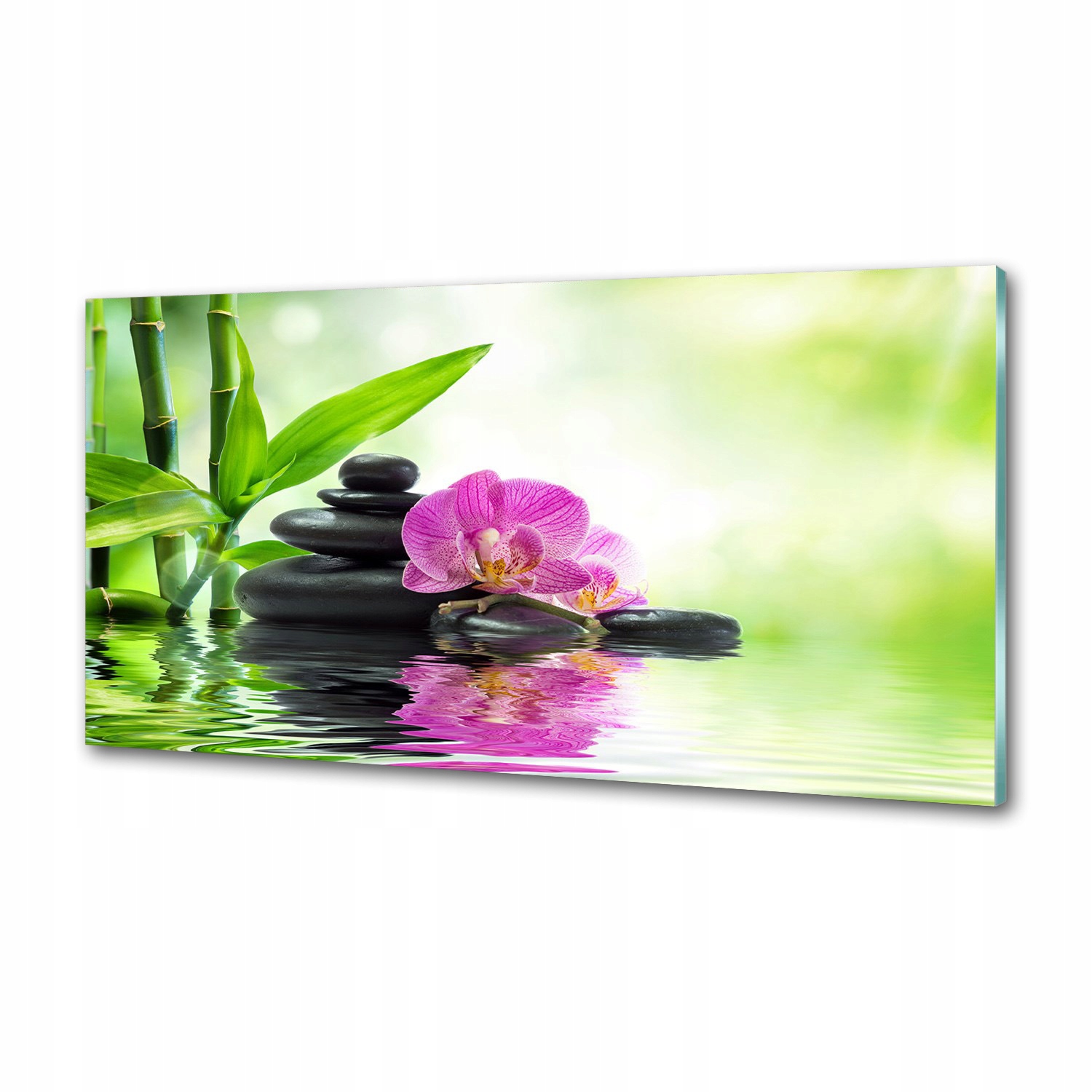 Panel medzi nábytkom v kuchyni Orchidea 100x50 Lepidlo