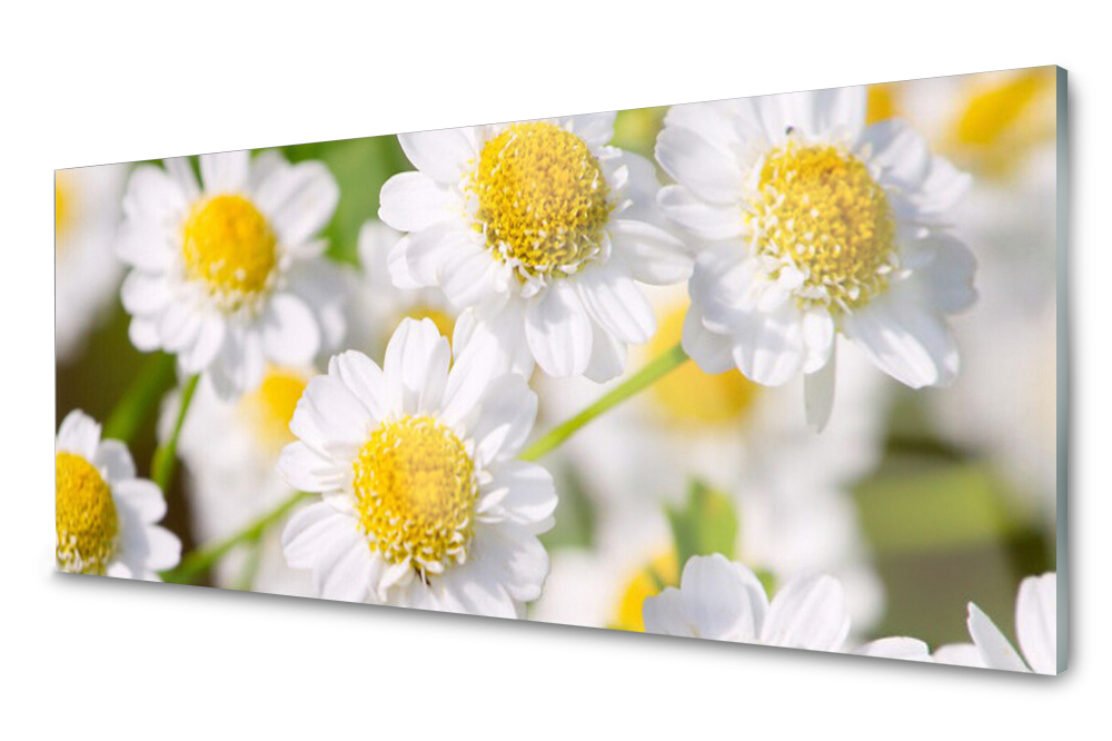 

Panel szklany do kuchni Kwiaty Stokrotka 125x50