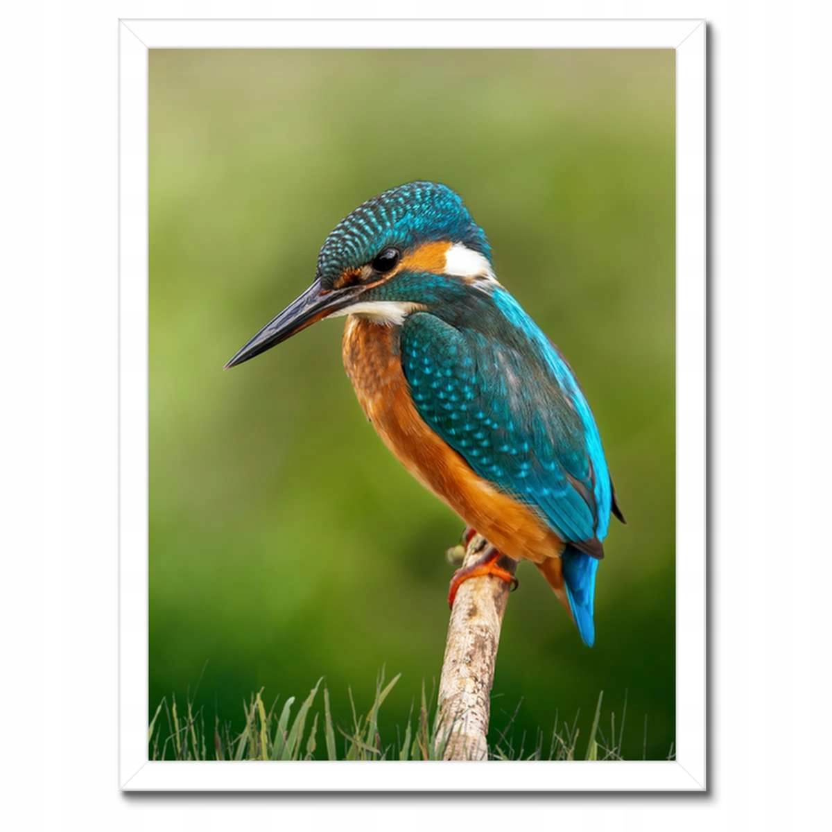 Plakáty v rámu 30x40 Co se tu dá schrupnout