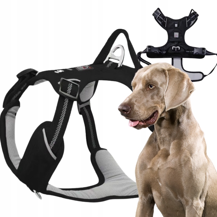 Levně Šle Guard pro psa Adventure silné, nastavitelné, pohodlné Premium Black L