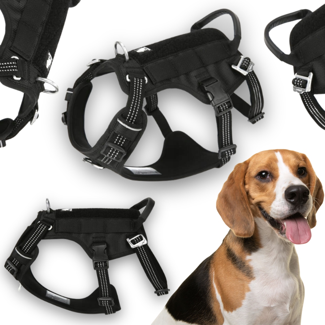 Levně Postroje Pro Psa Proti Úniku Reflexní Truelove Safe Hiking Černé M