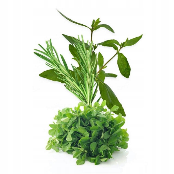 Olejek stymulujący wzrost włosów Khadi Typ do spłukiwania