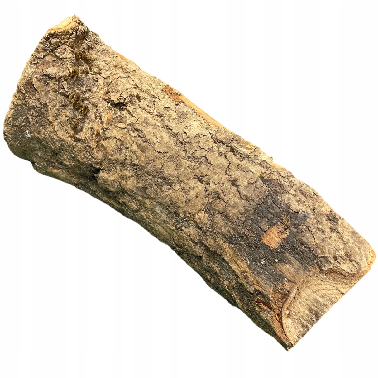 JESION do Wędzenia drzewo do Kominka na Ognisko na Grill 1KG Waga 1 kg