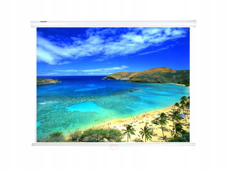 Ekran projekcyjny PÓŁAUTOMAT ŚCIENNY SUFITOWY 170x130 cm 84 cale FULL HD 4K