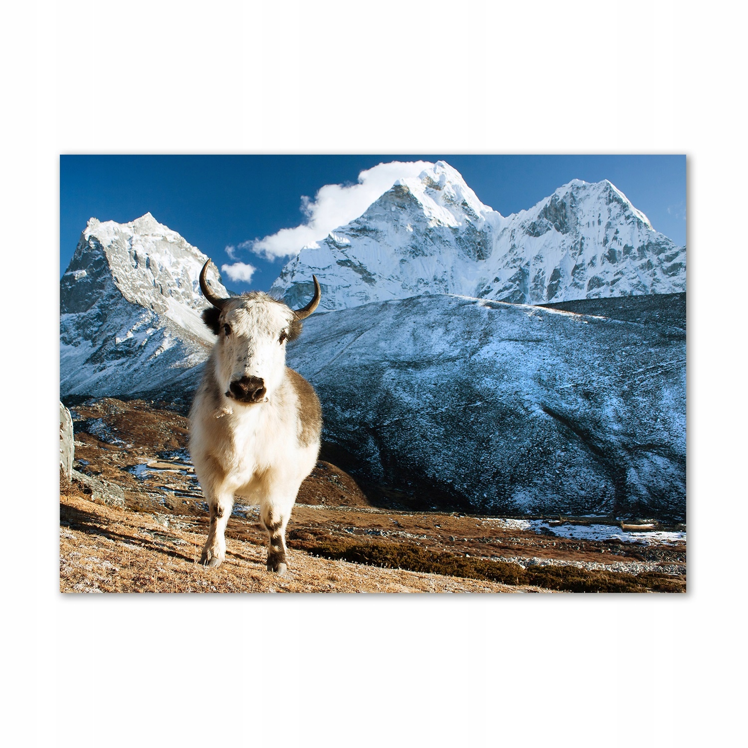 

Foto-obraz szkło hartowane Jak góry 100x70