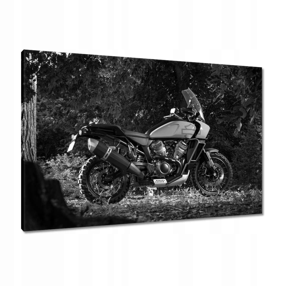 Obrazy 90x60 Harley Davidson Motocykl