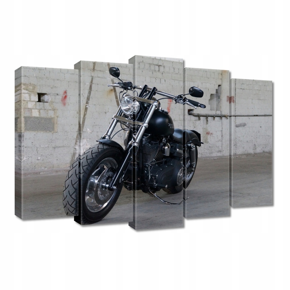 

Obrazy 70x50 Harley Davidson