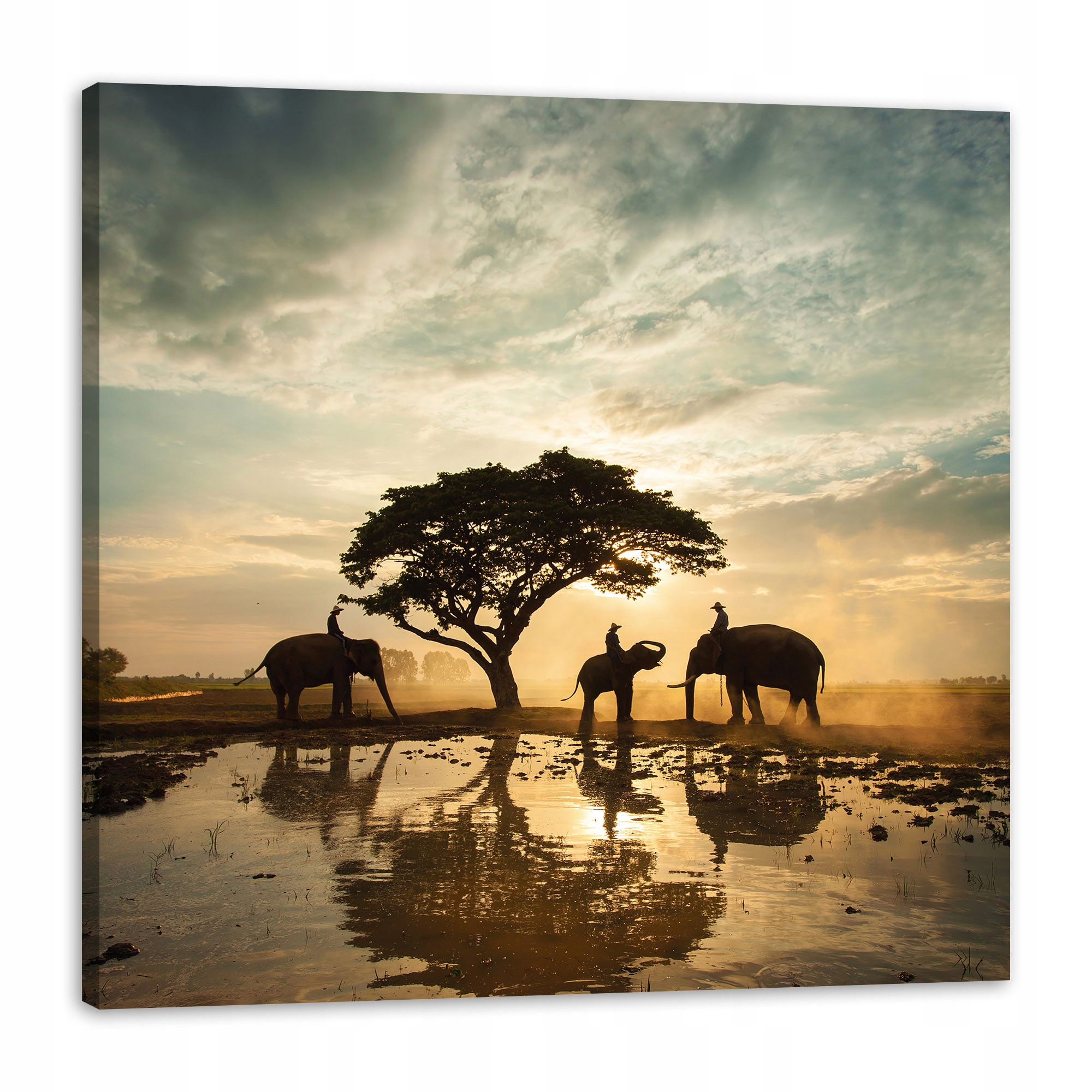 Obraz na plátně Lidé na slonech při západu slunce 80 x 80 cm