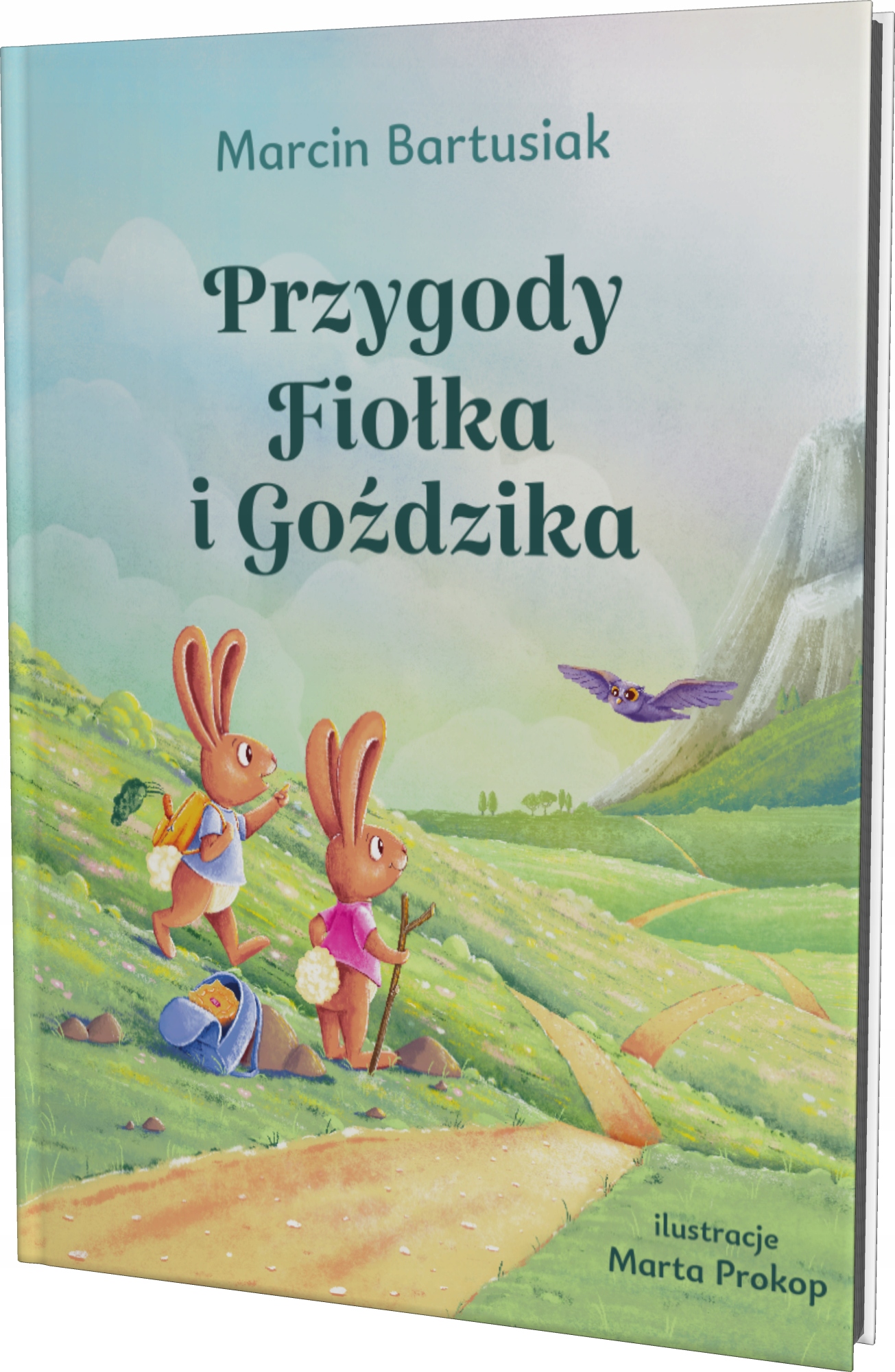 

Książka Przygody Fiołka i Goździka