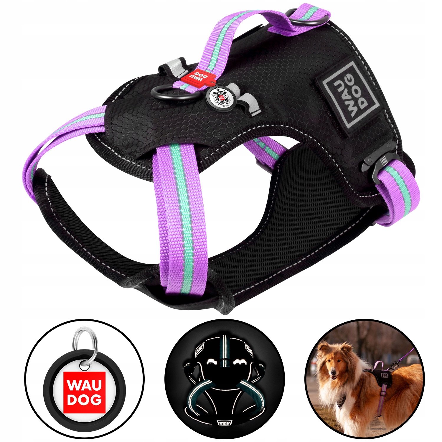 Levně Bezpečnostní postroj pro psa Qr Adresář Bonus, fialový, velikost S