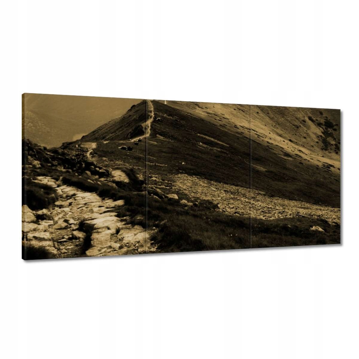 Obrazy 120x60 Tatry Polské hory Pohled