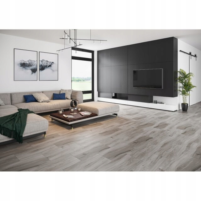 Gres ASHVILLE szary 29,7x59,8 g. I Typ gres