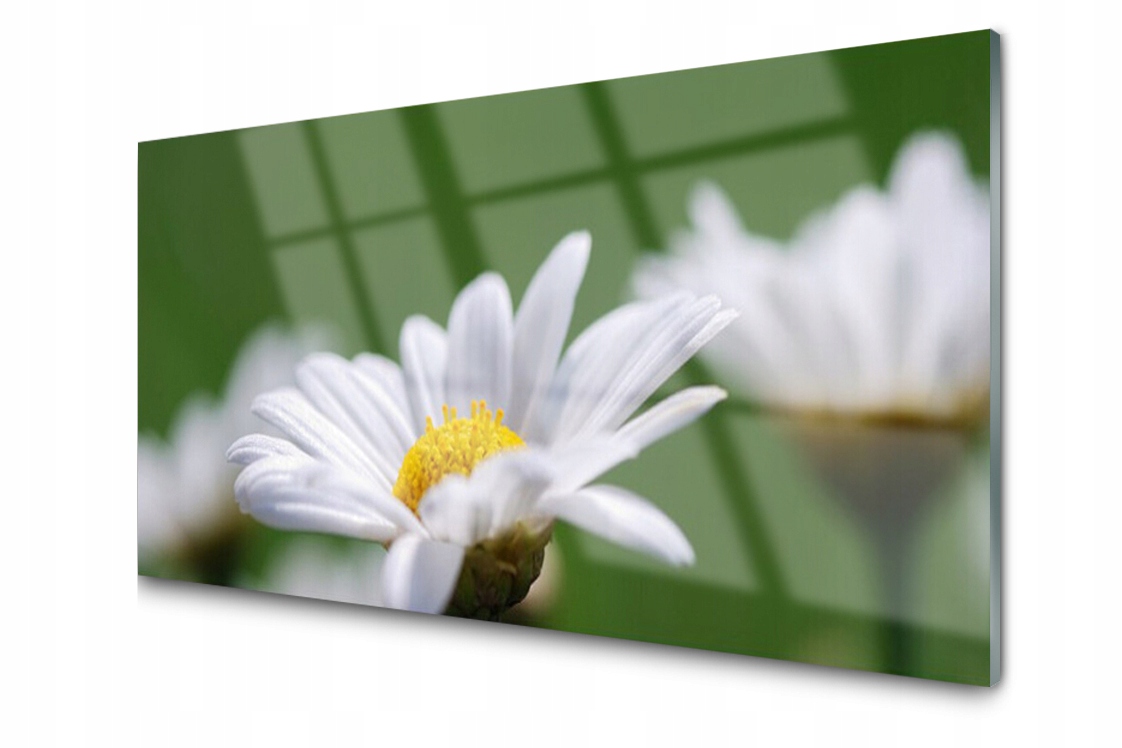 

Panel szklany dekor Stokrotka 140x70 + Klej