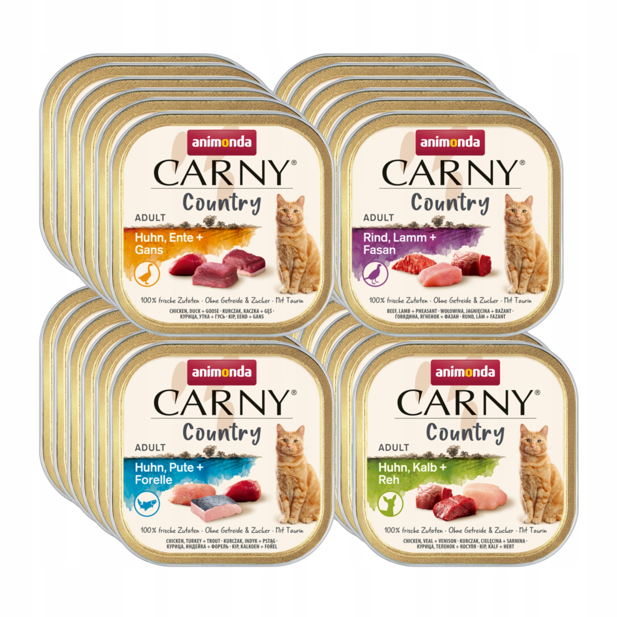 Levně Animonda Kočka Carny Country šála Set 36x100g MIX všech příchutí