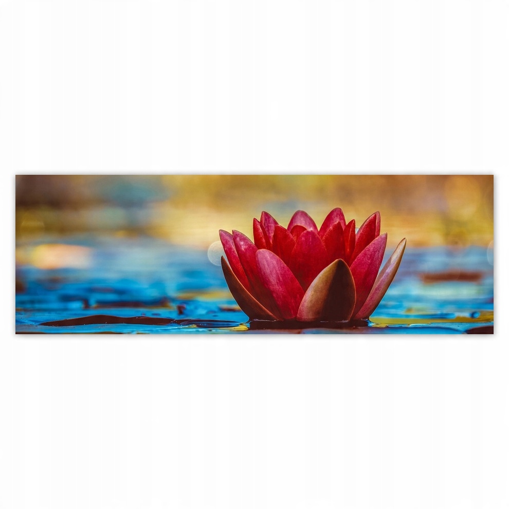 

Fototapety flizelina 312x104 Lilia wodna