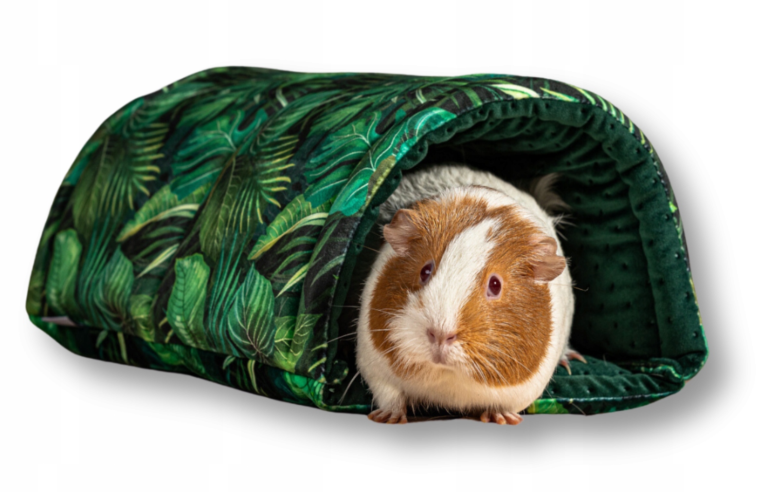 Levně Kraina Tuptusia – půlkruhový tunel pro prasátka