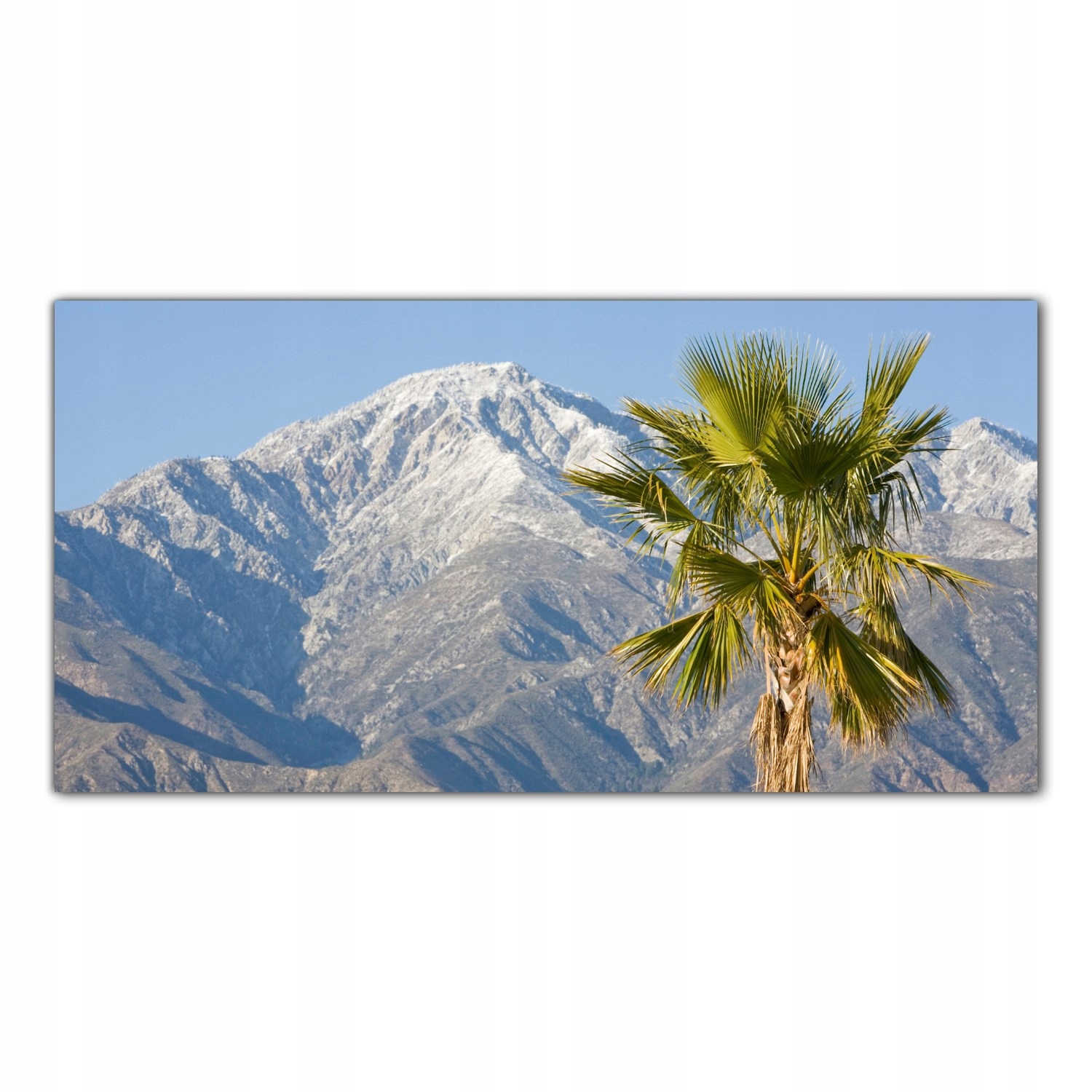 

Hartowany Obraz Szklany Palmy Drzewa Góry 100x50