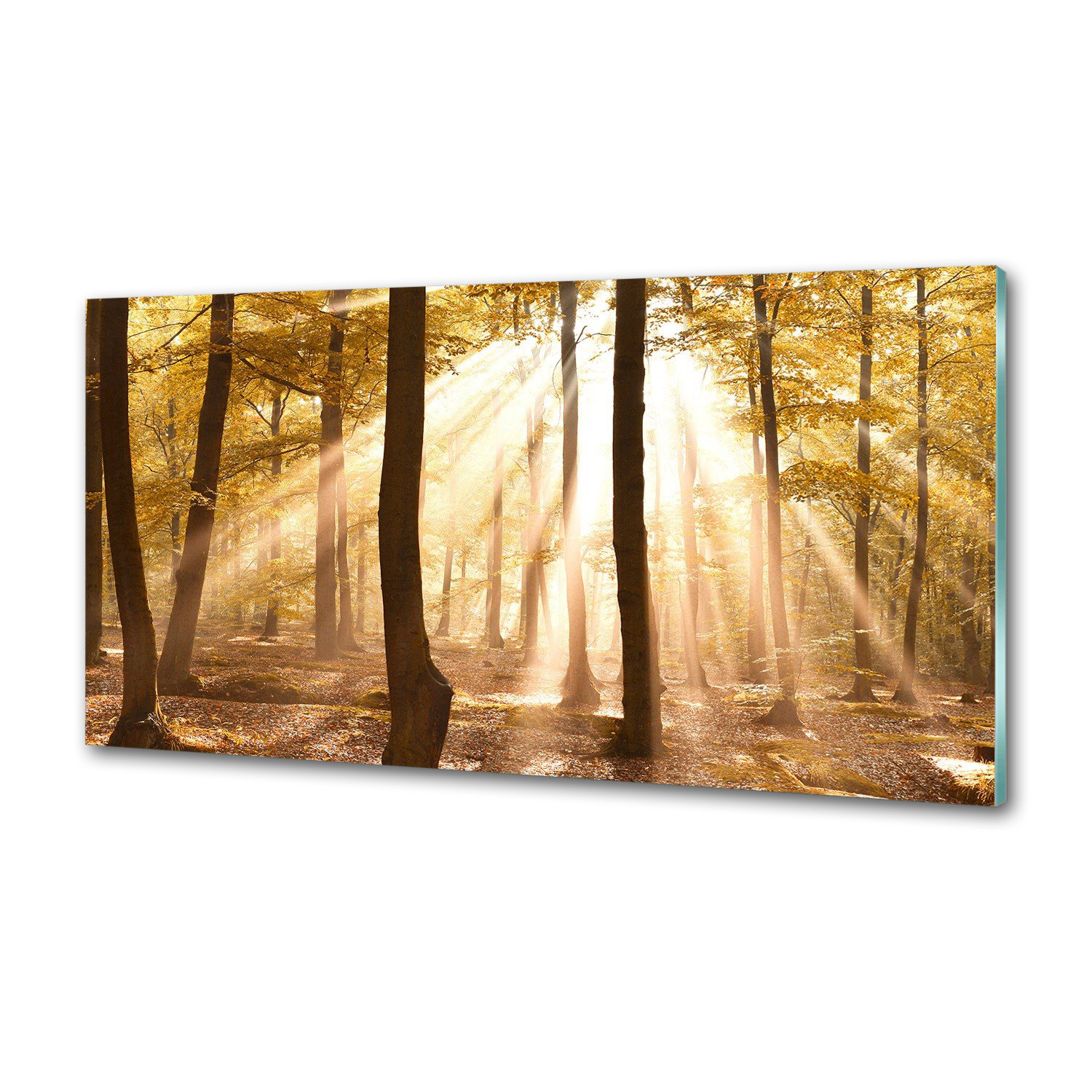 Panel dekor sklo Les na jeseň 120x60 cm Lepidlo