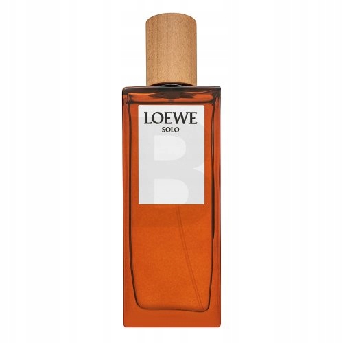 Loewe Solo Loewe Pour Homme toaletní voda pro muže 50 ml