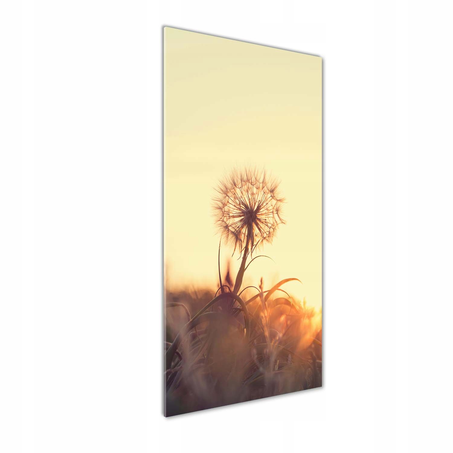 

Foto obraz szkło hartowane Dmuchawiec 50x125 cm