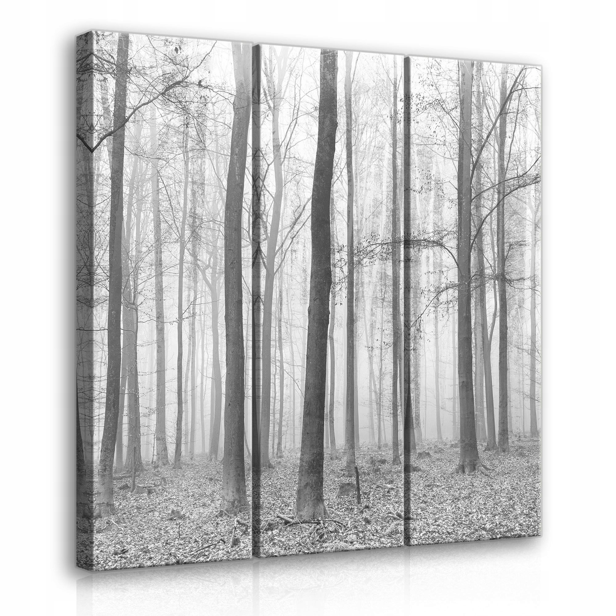 Obraz 90x100 Mlžný les krajina stromy v mlze ticho příroda minimalismus
