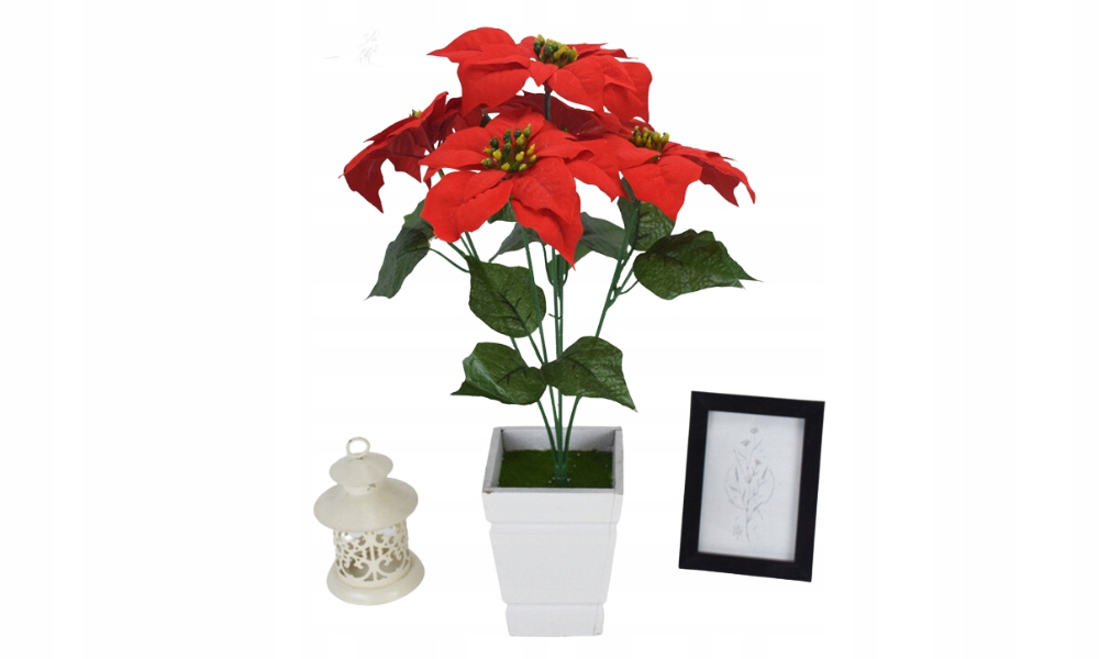 GWIAZDA BETLEJEMSKA KWIAT NA CHOINKĘ i STROIK DUŻA 45cm 5 sztuk Bukiet Marka Stylizer