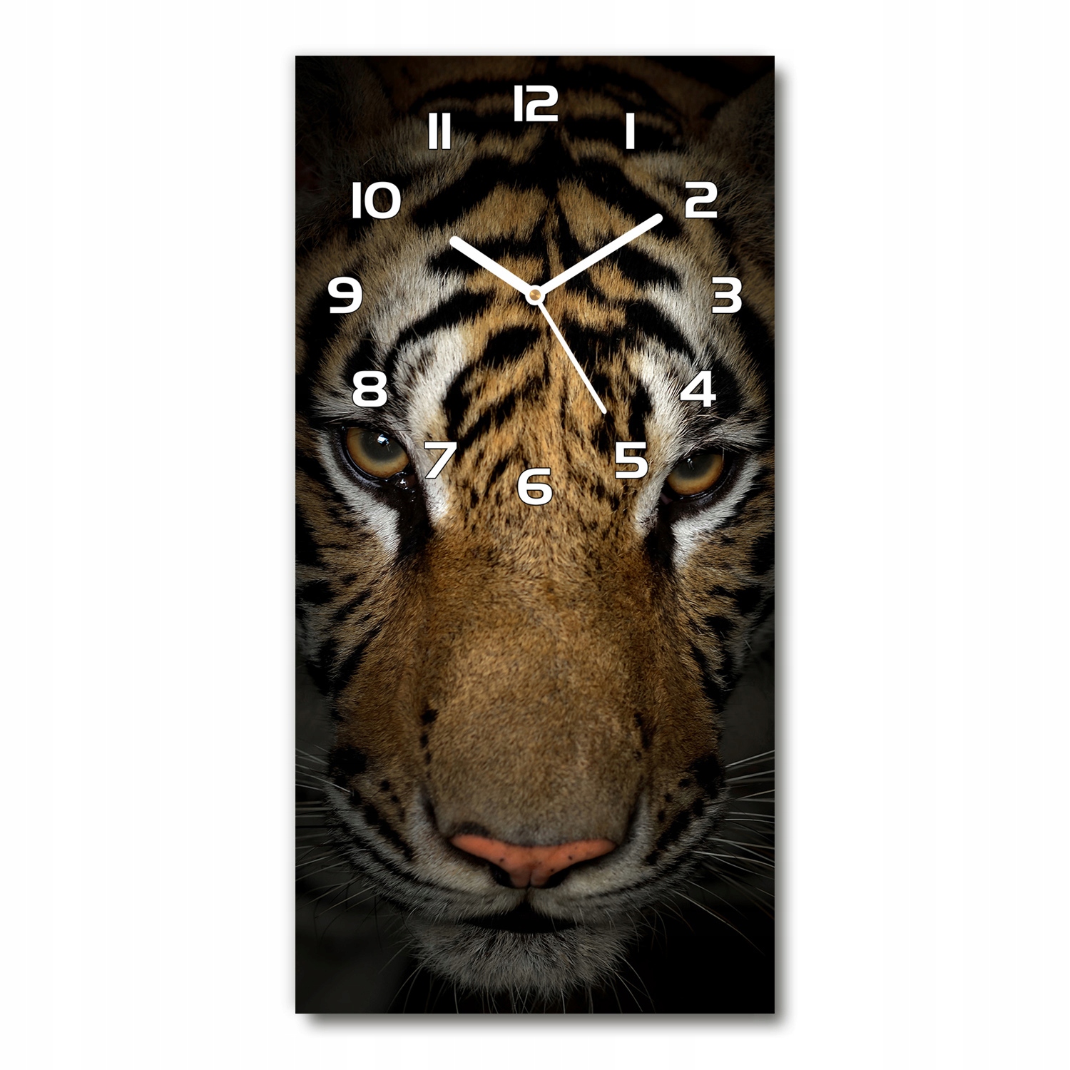 Krásne sklenené nástenné hodiny Tiger 30x60 vertikálne