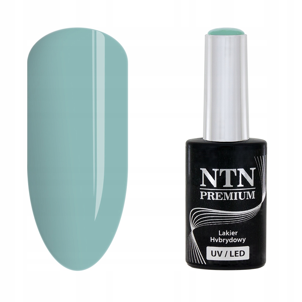 

Lakier Hybrydowy Ntn Premium Dessert 5G 95