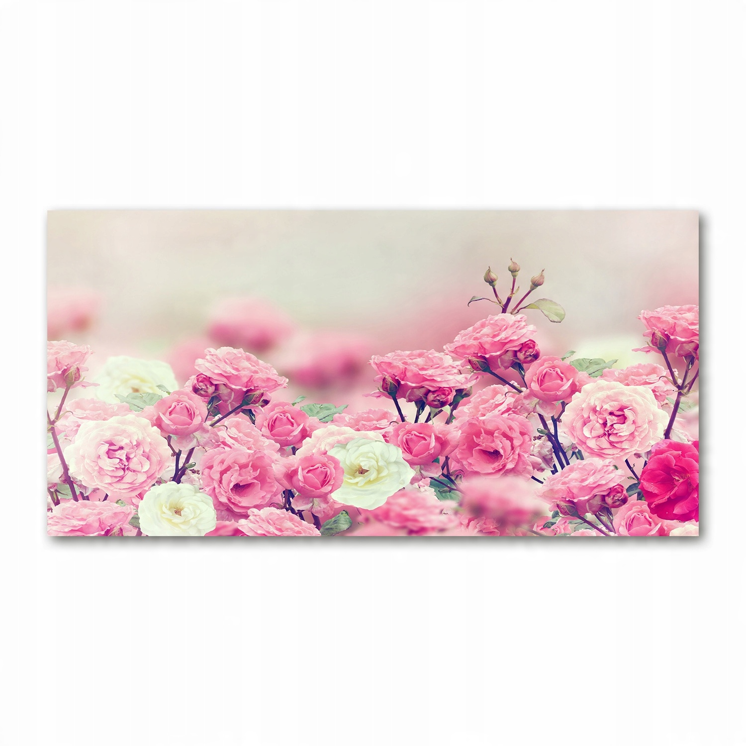 

Foto obraz akrylowy Kwiaty dzikiej róży 140x70 cm