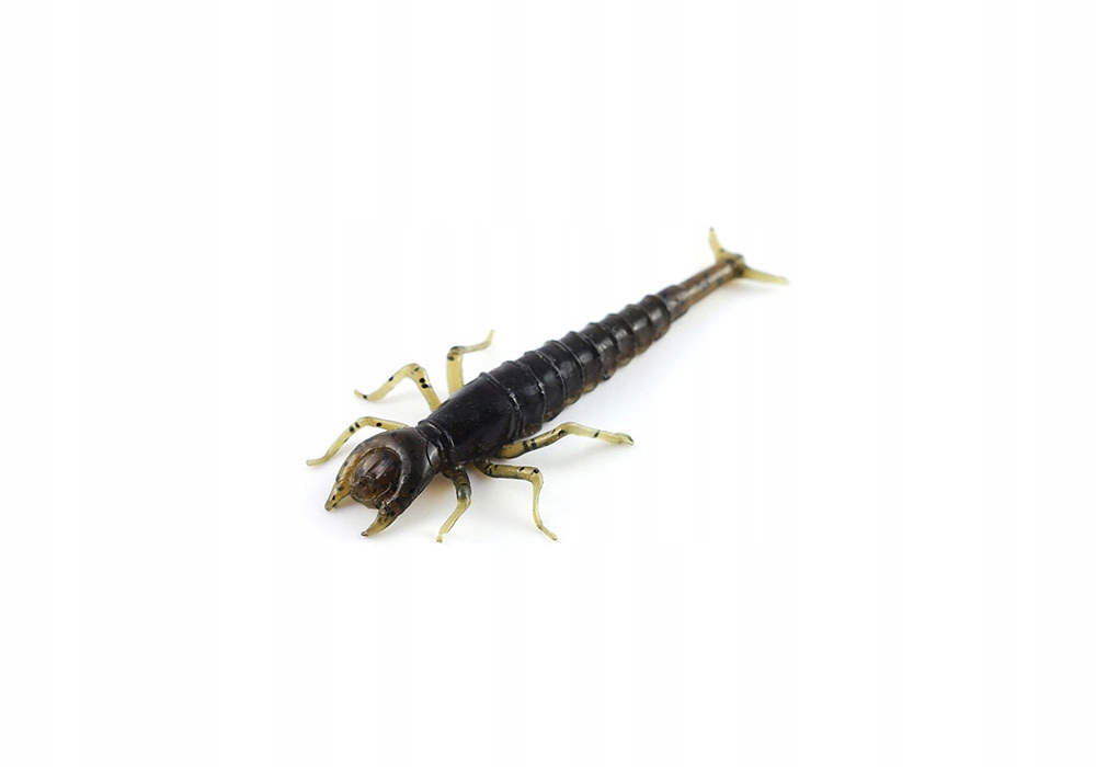 Opakowanie Gum Fishup Diving Bug 043- 50mm 8szt