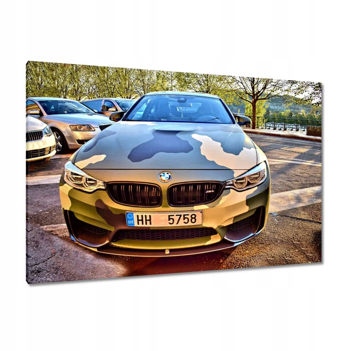 Obrazy 120x80 Morové Bmw M4