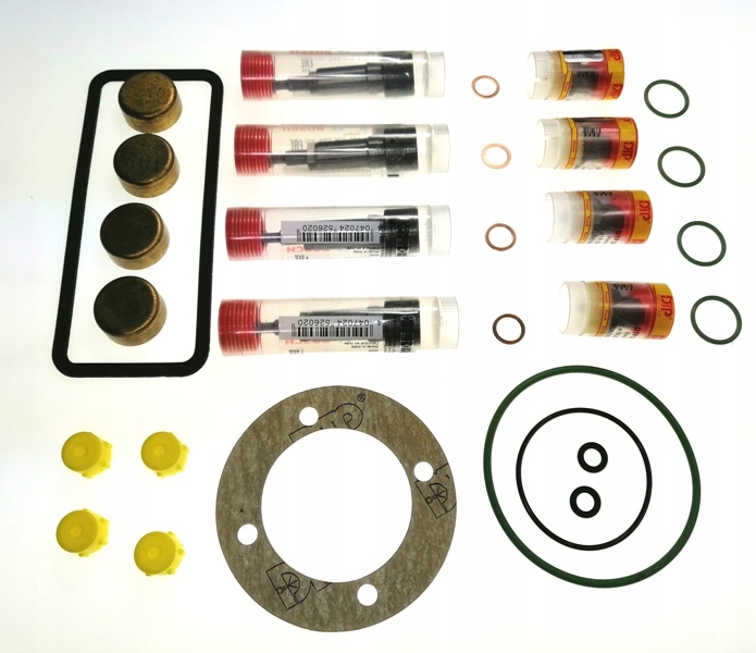 ZESTAW POMPY WTRYSKOWEJ FAHR seria M 4 cyl Part number PES4A159 MBD