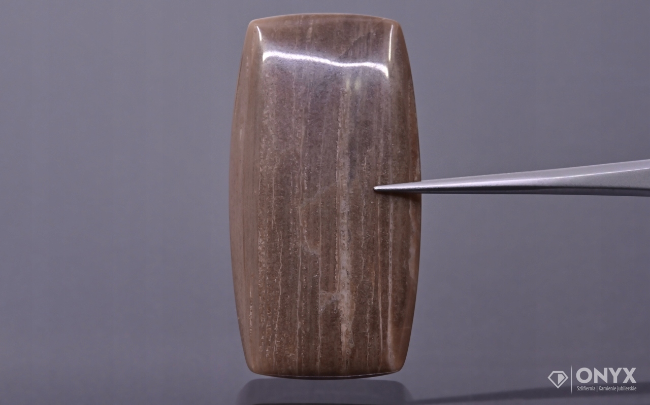 Zkamenělé dřevo nízký kabošon cushion 43x22 mm