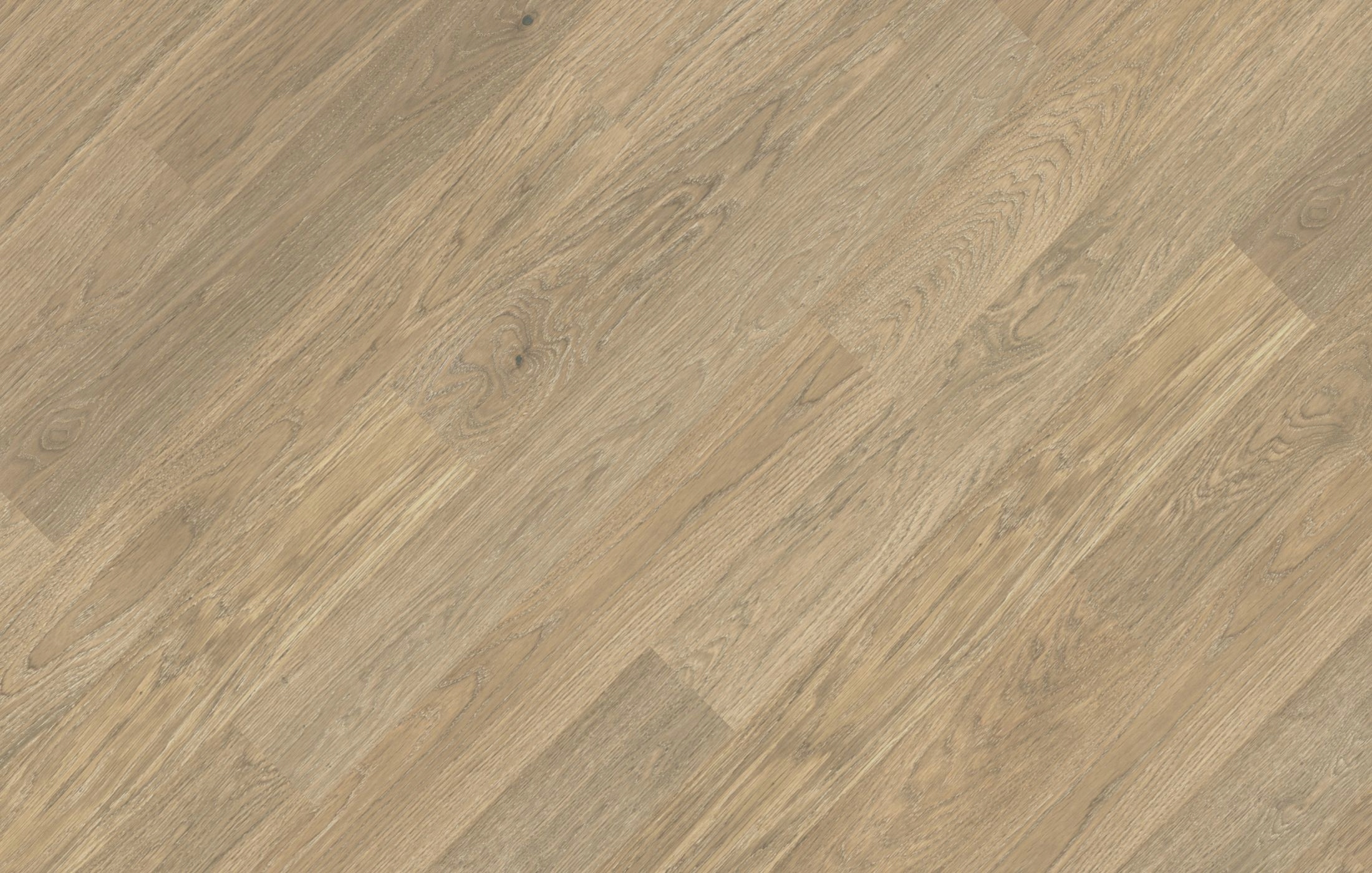 Jawor-Parkiet Fertig Deska Dąb Color Avorio elegance