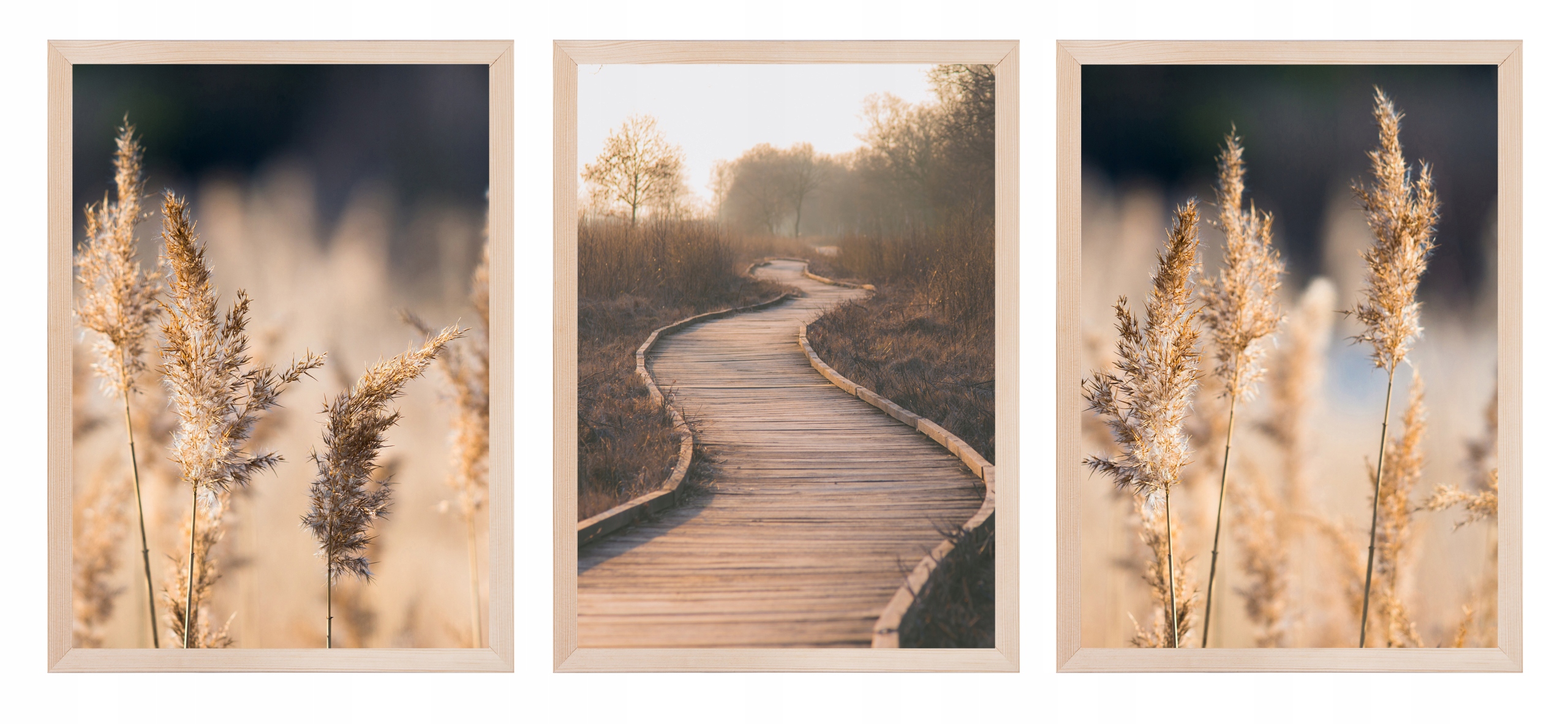 

Zestaw Obrazów Do Salonu Seria Trawy Boho