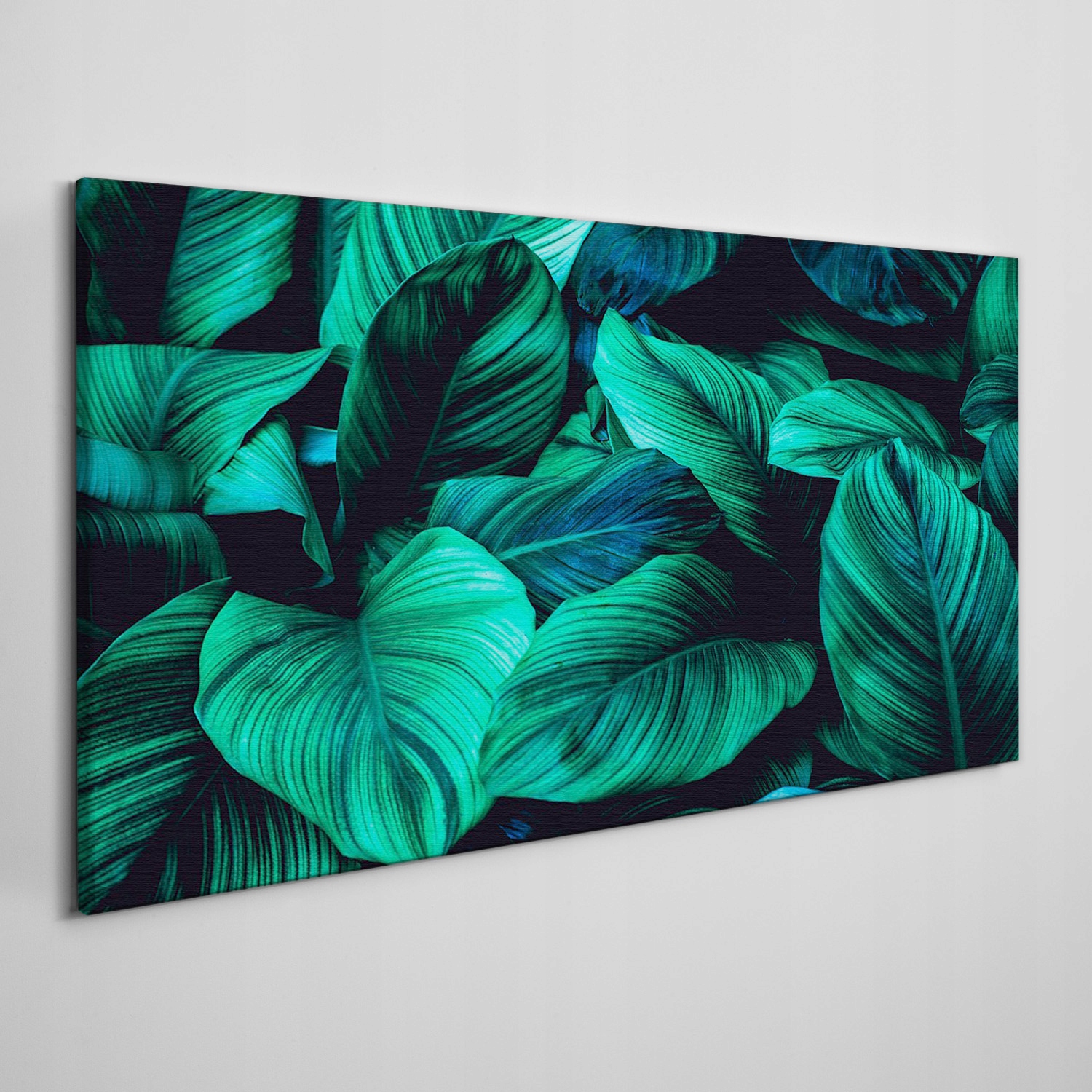 

Obraz na płótnie Kwiat liście roślina 140x70 cm